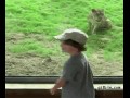 Wizyta w Zoo
