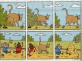 Kotek robi kupkę