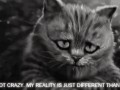 Reality