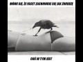 Coś w tym jest