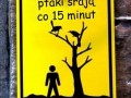 Ptaki