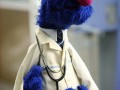 Doktor