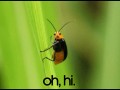 Ohh, hi!