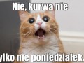 Tylko nie poniedziałek