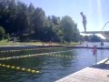 Skok na główkę