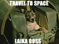 Travel to space