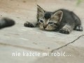 Nie każcie mi robić