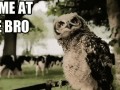 Come at me bro