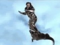 Aligator