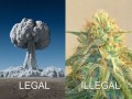 Legal / illegal