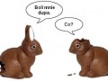 Boli mnie dupa... Co?