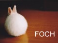 Foch