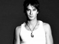 Damon