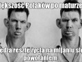 Większość Polaków po maturze...