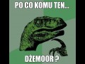 Po co komu ten dżemor?