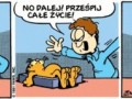 No dalej! Prześpij całe życie!