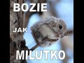 Bozie jak milutko