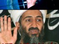 Osama Bin Laden