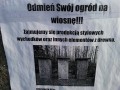 Odmień swój ogród na wiosnę