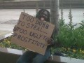 Too dumb to steal...