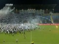 Bydło w Bydgoszczy