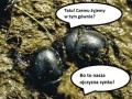 Tato, czemu żyjemy w tym gównie?