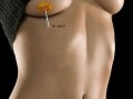 Chupa chups for adult