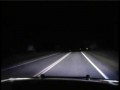 Radiowóz vs. sarna