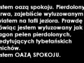 Jestem oazą spokoju...