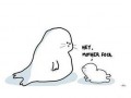 Mother foca