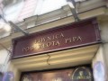 Piwnica