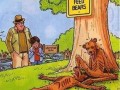 Do not feed bears