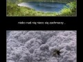 Gdy w Polsce Marihuana zostanie zalegalizowana