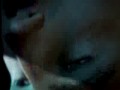 Nowy Need For Speed The Run
