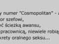 Cosmopolitan