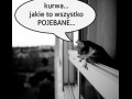 Jakie to wszystko...