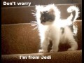 Dont worry
