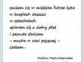 Szukam Cię...