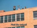 Fuck the school
