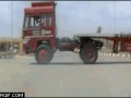 Koń