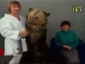 Furfag