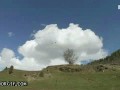 Sky diving