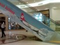 Turkish Airlines