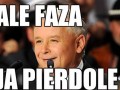 Ale faza