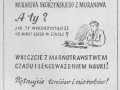 3002 cegły