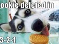 Cookie deleted in 3 2 1