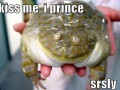 Kiss me im prince