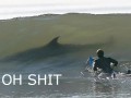 Shit