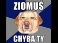 Chyba Ty!