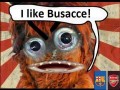 I LIKE BUSACCE!